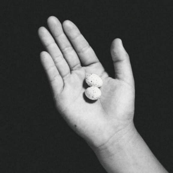 0 - Umarete Wa Mita Keredo - Music & Performance - CD