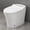 Silver+White, variant on Smart toilet with Built-in Heated Seat, One Piece Elongated Modern Toilet with Adjustable Temp Heated Seat, Auto Flush, Dual Flush Toilet 1/1.28 GPF, Foot sensor Flush, White Night Light,Knob Contro