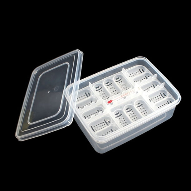 Bandeja de huevos para reptiles Caja de huevos para reptiles Caja de reproducción para rept Irfora abdominales
