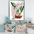 thumbnail image 3 of Designart 'White Vintage Orchid Flower II' Traditional Framed Art Print, 3 of 4