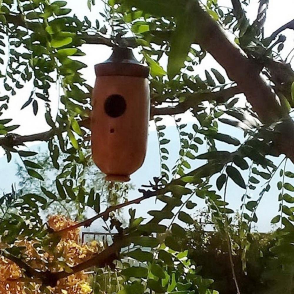 Hummingbird House, Wooden Hummingbird House, Outdoor Hanging Bird