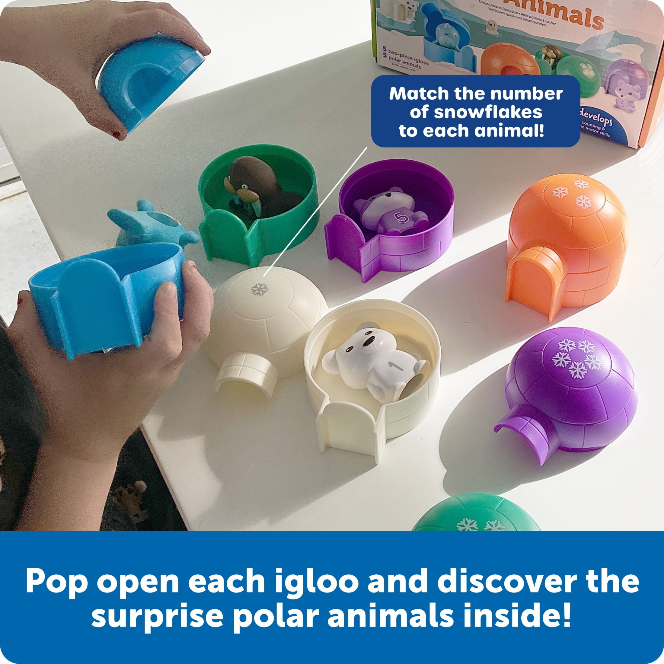Learning Resources Sort and Seek Polar Animals Toddler Learning Toys for Boys and Girls  Sorting Toys for Kids   Ages 18+ months