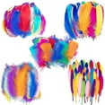 thumbnail image 1 of Colorful Feathers,300pcs Feather For Crafts Striking Feathers, 1 of 5