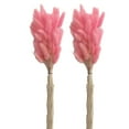 thumbnail image 2 of Mairbeon 1 Set Dried Flower Bouquet Romantic Easter Celebration Bunny Tail Household Products, 2 of 9