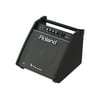 Roland PM-100 - Monitor amplifier for electronic drum - 80 Watt