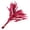 Claret, variant on 50Pcs Natural Craft Quills 4-6Inch Colored Quills For Jewelry Making Costume Embellishment And Wedding Decoration