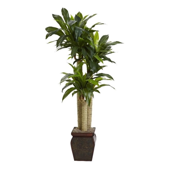 Pemberly Row 54" Cornstalk Dracaena Silk Plant Vase Real Touch in Green/Brown
