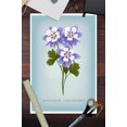 thumbnail image 3 of Boulder, Colorado, Vintage Flora, Rocky Mountain Columbine, State Series (12x18 Wall Art Poster, Room Decor), 3 of 3