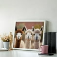 thumbnail image 3 of Diamond Art Kits for Adults, Cute Alpaca in DazeDiamond Painting Kits for Beginners, Frameless Round 5D Full Drill Diamonds Art Pictures Gem Art Crafts Home Decor Gifts, 3 of 8