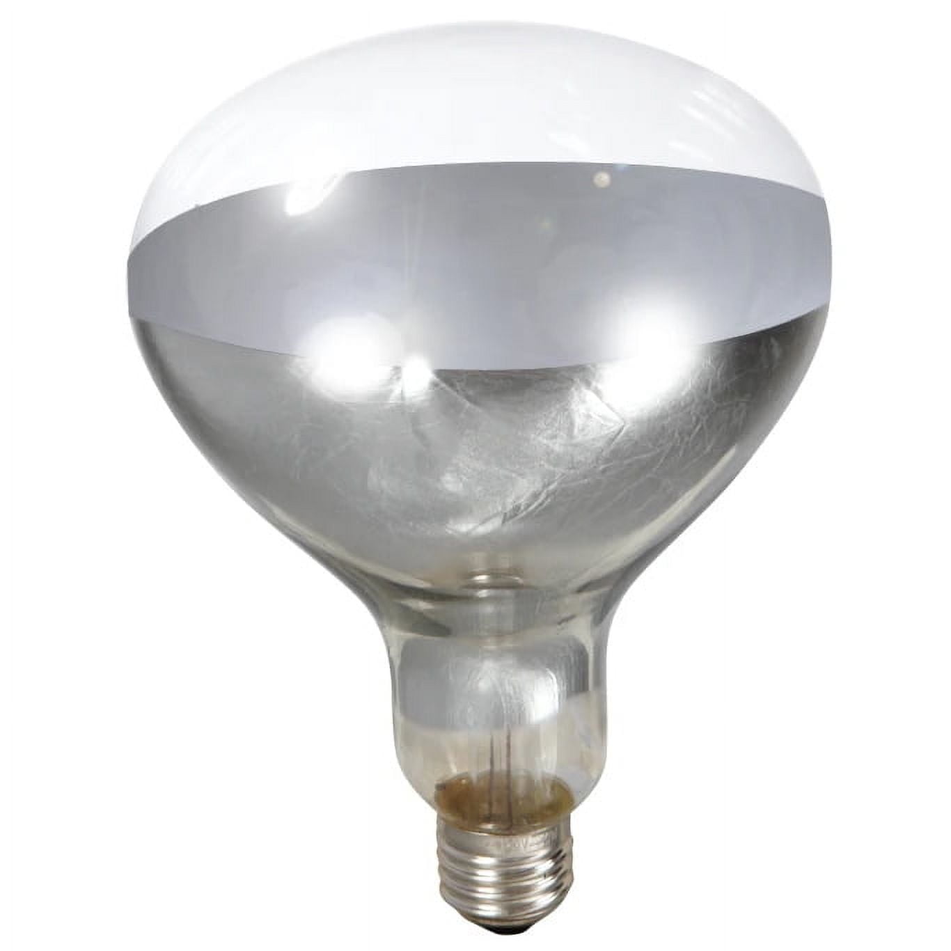 Little Giant 250 Watt Clear Heat Lamp Bulb for Terrariums