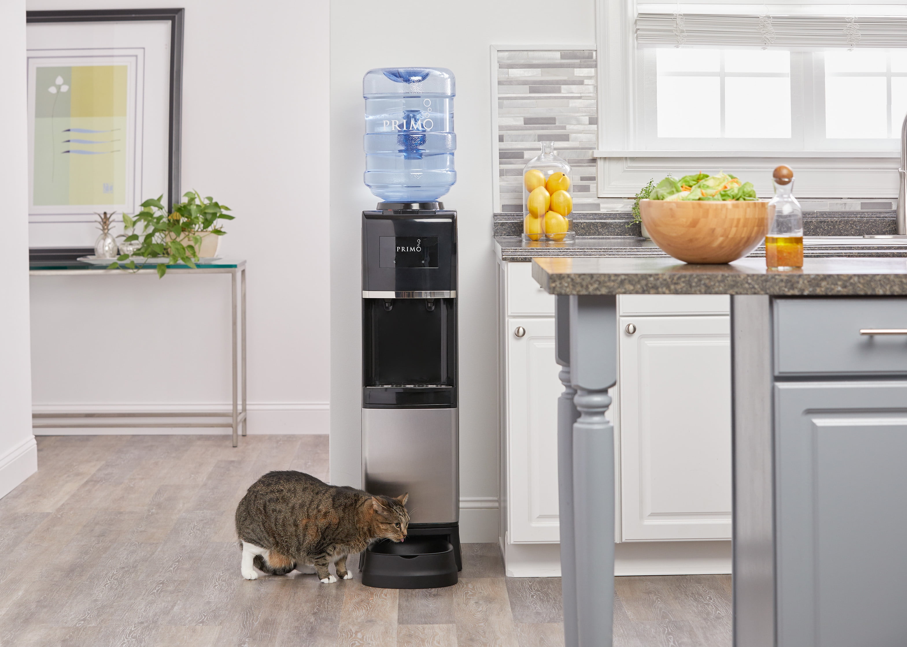 Primo Water Top Loading Pro 2 Temp Water Dispenser with Pet Station, Black & Stainless Steel