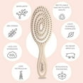 thumbnail image 4 of Ninabella Detangling Hair Brush for Women & Men – Spiral Hairbrush for Straight & Curly Hair, No-Pull Styling – Cream, 4 of 7