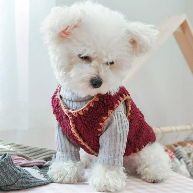 Puppy sweaters cheap and jackets