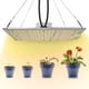thumbnail image 4 of Luz de crecimiento LED, luz de crecimiento LED Luz de crecimiento alto Luz de crecimiento de flores para interiores Diseño fácil de usar, 4 of 8
