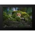 thumbnail image 2 of Lindsten, Christian 24x18 Black Modern Framed Museum Art Print Titled - Curious Fox, 2 of 5