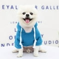thumbnail image 5 of Pet Hoodies for Large Dogs Spring and Fleece Sweatshirt with Hat and Zip Pocket Pet Clothing Blue L, 5 of 5