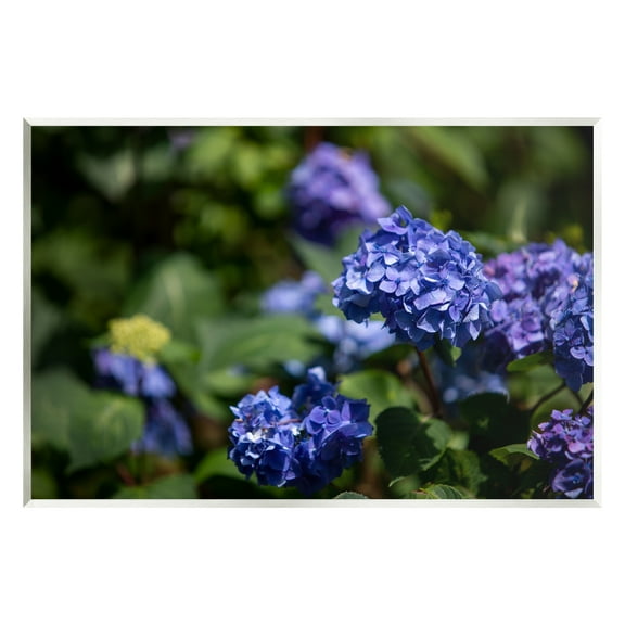 Stupell Industries Purple Hydrangea Photography Botanical & Floral Photography Unframed Art Print Wall Art, 15 x 10