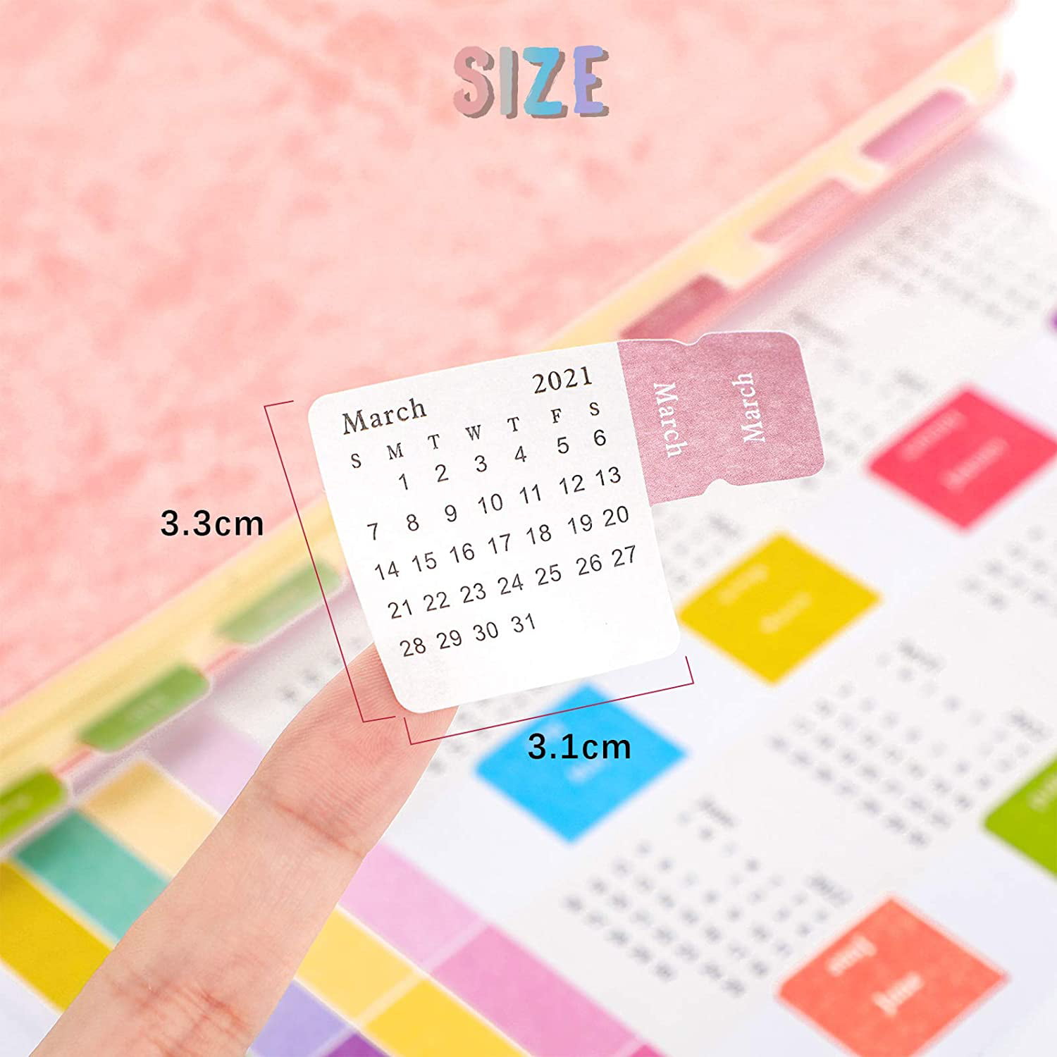 US 2019 Calendars Stickers for Bullet Journal/Planners/Agenda/Books/Diary Self Adhesive Tabs,4 DIY Sticky Paper & 4 DIY Sticky PVC Easy to Peel and Stick Monthly Index Dividers 8 Sheets 