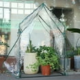 thumbnail image 6 of Gardzen Mini Greenhouse 36" x 36" x 60", Portable Small Greenhouse with Zippered Door for Seed Starting, Seedlings and Winter Protection, 6 of 6