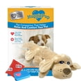 thumbnail image 1 of Juguete para Mascotas Pets Know Best Dorado con Corazón Palpitante y Calentador, 1 of 6