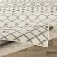 thumbnail image 5 of Surya Chester CHE-2319 31 x 144" Runner Fabric Rug in Beige/Charcoal/Gray, 5 of 8