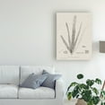 thumbnail image 3 of Trademark Fine Art 'Charcoal And Linen Seaweed II' Canvas Art by Henry Bradbury, 3 of 4