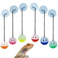 thumbnail image 2 of Bearded Dragon Toy with Suction Cup and Rope Exercise Game Colored Bell Ball Toy Reptile Toy for Small Animals, 2 of 8