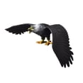 thumbnail image 3 of Modelo De águila Simulada, Juguete De Juguete, Pájaro Animal, Juguete Para Ni?as, Ni?os, Regalo Educativo L Negro, 3 of 8