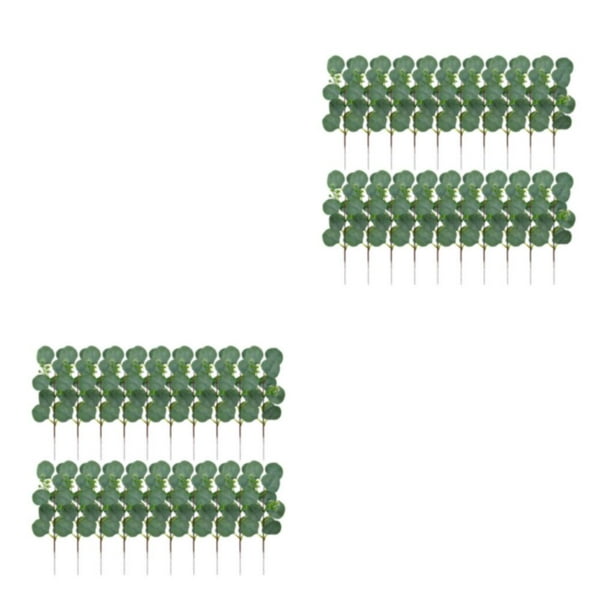 Tallo de hoja de eucalipto Artificial Bearachild 20 piezas color Verde