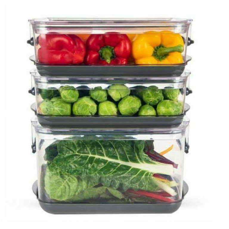 ProKeeper 4-piece Fresh Produce Keeper Set – RJP Unlimited