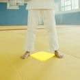 thumbnail image 2 of FRCOLOR 3pcs Portable  Karate Board Foam Breaking Board Portable Taekwondo Board for Beginner Practicing, 2 of 8