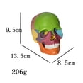 thumbnail image 2 of Xingzhi Life Size Anatomical Teaching Skeleton Head 15 Parts Assembled Detachable, 2 of 8