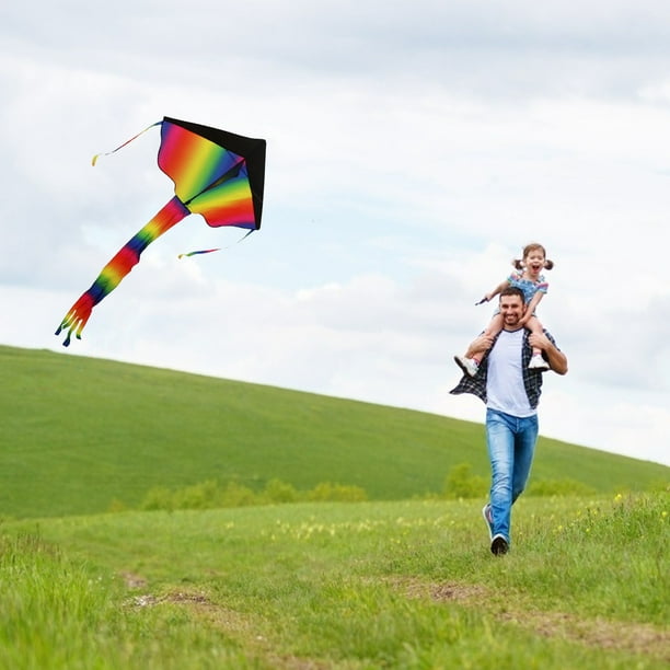 Énorme cerf-Volant pour Enfants Enfants Adultes Facile à Voler Jeux de  Plage en Plein air, Sac Cadeau avec poignée de cerf-Volant et Ficelle -  Facile