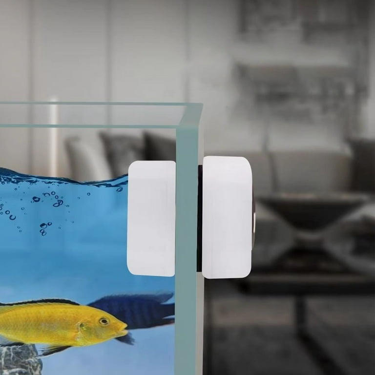 Glass cleaning outlet fish