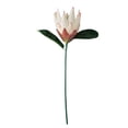 thumbnail image 1 of Tela de seda Flor falsa Oficina en casa Decoración floral Fiesta Ceremonia Flor artificial Fotografía Prop, Rosa Blanco Advancent HA6650-02B, 1 of 6