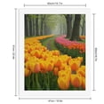 thumbnail image 2 of Paint by Numbers Kit for Adults, Pathway Through Vibrant Tulip Fields Paint by Numbers, Easy Paint by Numbers Kit for Adults Beginner, DIY Adult Paint by Number Kits on Canvas, 12x16in Home Decor, 2 of 7