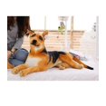 thumbnail image 5 of German Shepherd Dog 11.5" Stuffed Animal Plush Toys Toddler Doll Kids Gifts, 5 of 7