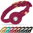thumbnail image 1 of Collar para perro OOPSDOGGY de piel enrollada con soporte para airtag rosa L, 1 of 6