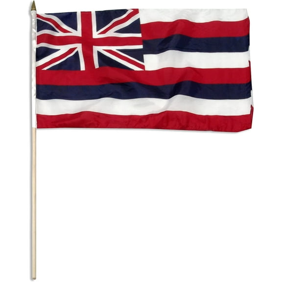 US Flag Store Hawaii Flag, 12 by 18-Inch