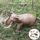 thumbnail image 5 of Animales salvajes 8 unids / set de juguete de plástico con modelo de Animal de silvestre para niños, paquete de , regalos de cumpleaños para Magideal Animales salvajes, 5 of 7