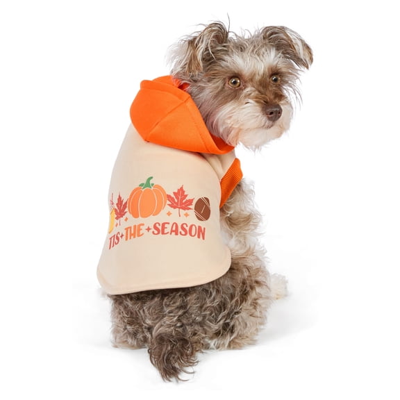 Vibrant Life Halloween Hoodie for Dogs and Cats, 'Tis the Season, Yellow and Orange, XS