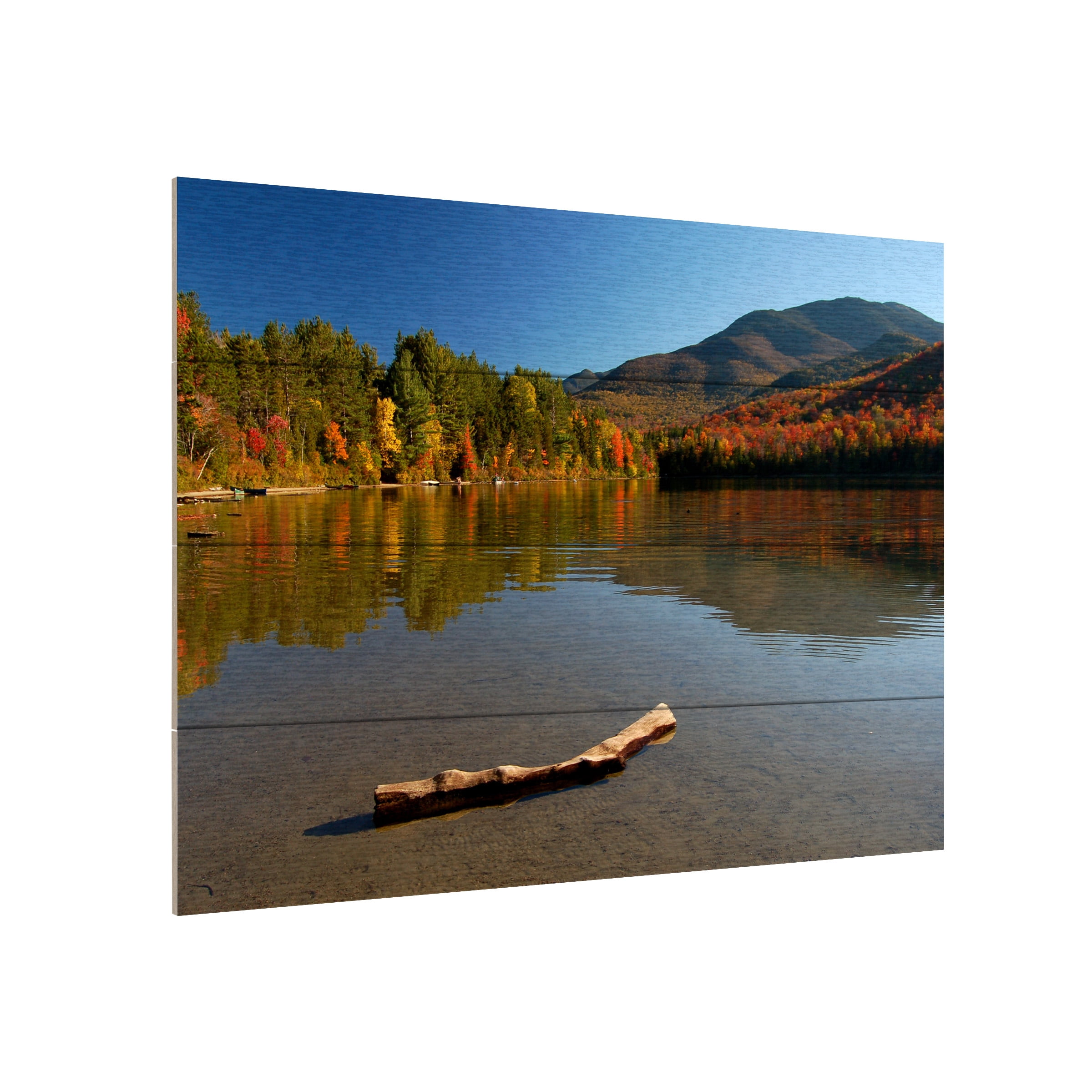 Nicole Dietz 'The Adirondack Driftwood' Wood Slat Art 12x16