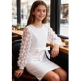 thumbnail image 5 of Aideaone Girls Butterfly Dress 3D Applique Mesh Puff Sleeve Belted Party Dress 7-16 Years, 5 of 7