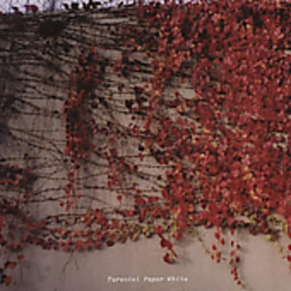 Tarentel - Paper White - Music & Performance - CD