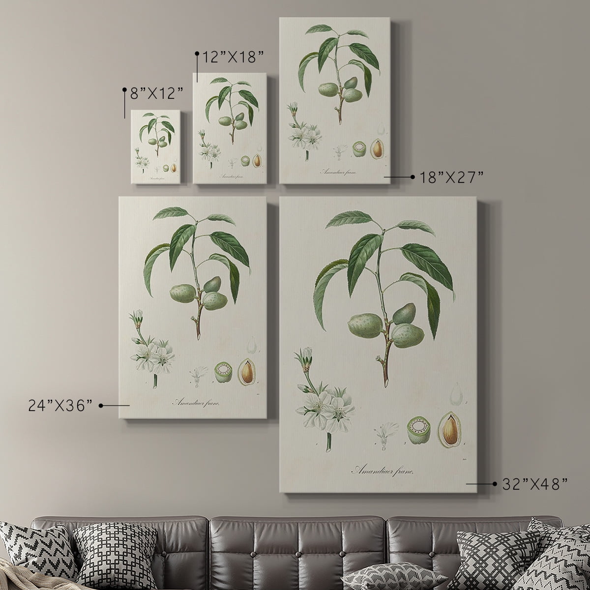 Antique Almond Botanical I Premium Gallery Wrapped Canvas - Ready to Hang