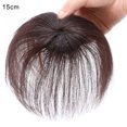 thumbnail image 1 of CAROOTU Clip-On Couvre-Extension Droite Cheveux Blancs Épars Cheveux Postiche, 1 of 6
