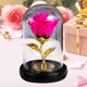 thumbnail image 1 of Adorno de cúpula de vidrio Eternal Rose | Luz nocturna LED | Regalo romántico de flor preservada | Lámpara de mesa decorativa luminosa | Regalo creativo de vacaciones | 16x11x11cm | 1 pieza, 1 of 6