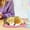 D, variant on BotaniNest Funny Toys Dog Sleeping In The Mattress Doll Toy Mini Dog In Shoe With Meows Sounds Sleeping Cute Kitty Toys Decors For Kids Boys Girls