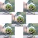 thumbnail image 1 of 5 Sets Inicio Decorativo Florero Florero Colgando De Titular De La Decoración De Regalos BLESIY Terrario hidropónico colgante, 1 of 8