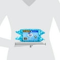 Great Value Fresh Scent Flushable Wipes, 2 Resealable Packs, 84 Total Wipes